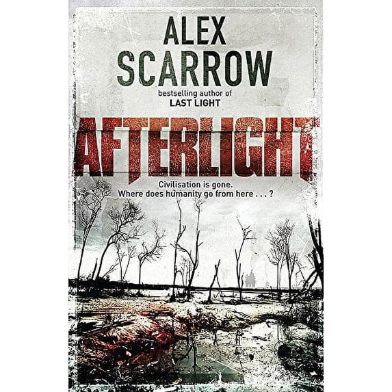 Pre-Owned Afterlight (Paperback) 1409103064 9781409103066