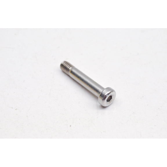 Aftermarket 250000023 Pivot Screw NOS
