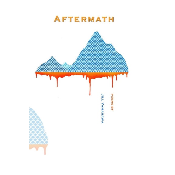 Aftermath Paperback