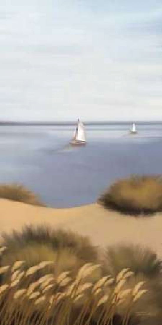 Afternoon Escape Canvas Art - Tandi Venter (24 x 48)