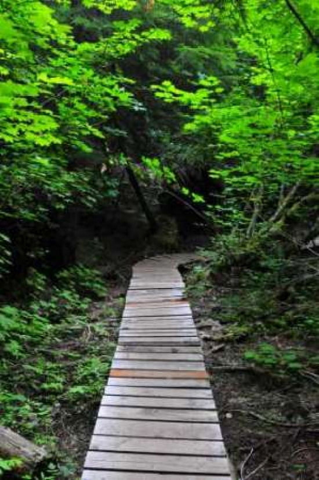 Afternoon Hike I Canvas Art - Erin Berzel (20 x 28)