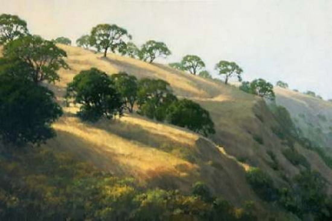 Afternoon Shadows Canvas Art - Kathy Oleary (12 x 18)