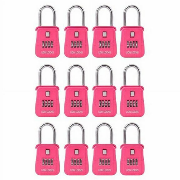 AfulaEnterprises Lion Combination Lock (Set of 12)