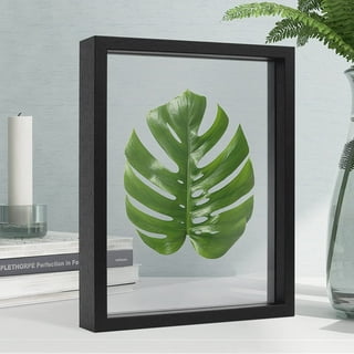 Glass Picture Frames