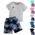 thumbnail image 1 of Afuyipoi Boys Girls 2-Piece Tropical Vacation Outfit (3-12 Years) Palm Tree Print Short Sleeve T-Shirt and Beach Casual Shorts Set Black 5/6, 1 of 8