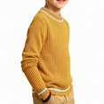 thumbnail image 1 of Afuyipoi Boys Turtleneck Pullover Sweater Knit Top for Kids Size 0-11Y Fall Winter Layering Outfit Yellow Size 4T, 1 of 6