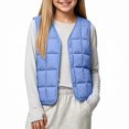 thumbnail image 1 of Afuyipoi Girls Quilted Vest (1-10) Sleeveless V-neck Warm Innerwear Waistcoat Blue Size 12M, 1 of 6