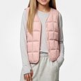 thumbnail image 1 of Afuyipoi Girls Quilted Vest (1-10) Sleeveless V-neck Warm Innerwear Waistcoat Pink Size 3T, 1 of 6