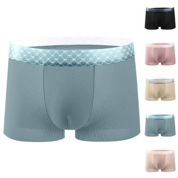 Afuyipoi Men Casual Underpants,Breathable Active Seamless Elastic Waist Boxers Light Blue L