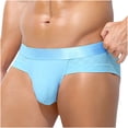 thumbnail image 1 of Afuyipoi Men Triangle Underpants,Quick Dry Lightweight Elastic Waist Hipster Briefs Sky Blue L, 1 of 4