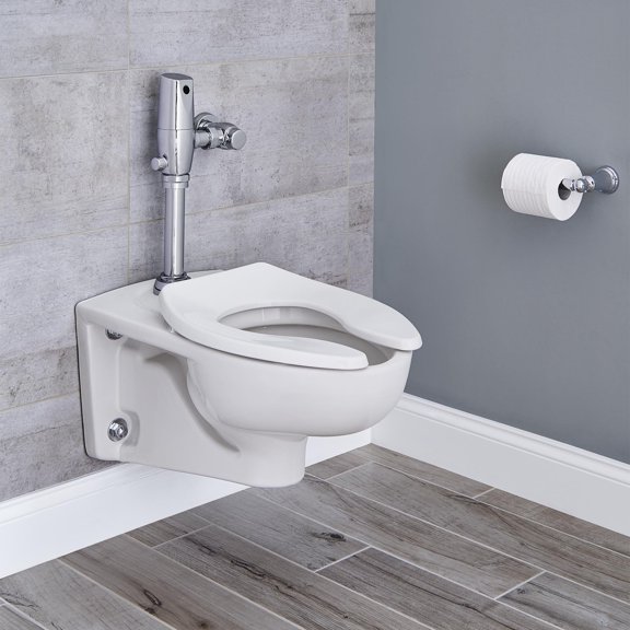 Afwall 1.28 GPF Elongated Toilet