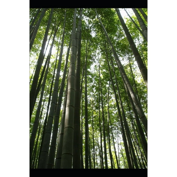 Again : Faith to Start Over