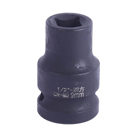 Against Oxidation Varnished Port Set With Storage Box And Wide Agreement For Outdoor Repairs