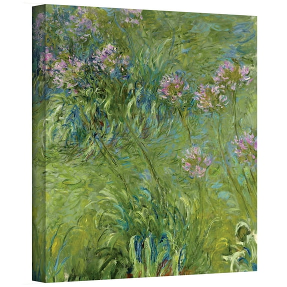 Agapanthus 2 Gallery Wrapped Canvas