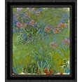 thumbnail image 1 of Agapanthus Flowers 20x20 Black Ornate Wood Framed Canvas Art by Monet, Claude, 1 of 2
