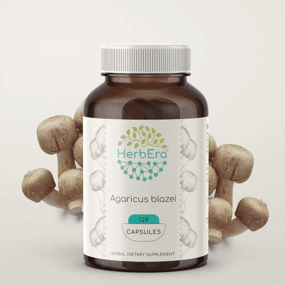 Agaricus Blazei 120 Capsules, 500 mg, Organic Agaricus (Agaricus blazei murill) Dried Mushroom