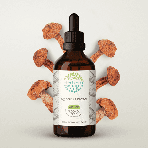 HerbEra Agaricus Blazei Tincture, Herbal Dietary Supplement for Immune and Vitality Support, Agaricus blazei (Agaricus blazei murill) Dried Mushroom Extract, Natural, Alcohol-Free, Drops 4 oz