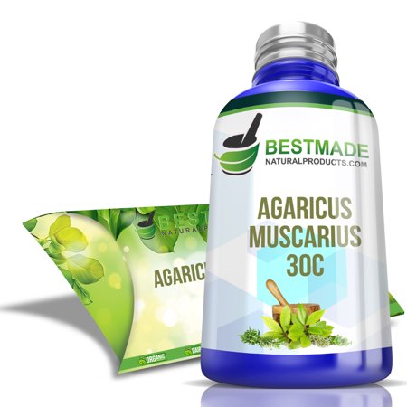 Agaricus Muscarius