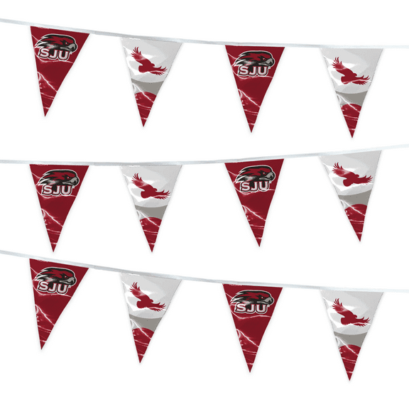Agas 15' Saint Joseph Hawks Pennant String, Triangle College Flags Bunting SJU College Flags, Game Day, Dorms, Party V-Shaped Streamers
