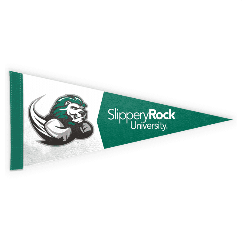 Arizona State Felt Mini Pennant - 4x9 Inches, Officially Licensed Sports Decor