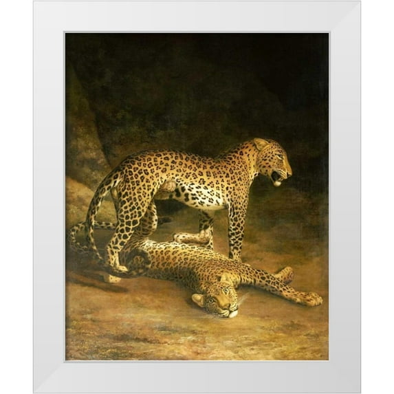 Agasse, Jacques-Laurent 12x14 White Modern Wood Framed Museum Art Print Titled - Two Leopards Lying In The Exeter Exchange