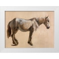 thumbnail image 1 of Agasse, Jacques-Laurent 18x15 White Modern Wood Framed Museum Art Print Titled - Study of a Grey Horse 1800, 1 of 4