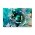 thumbnail image 1 of Agave Abstract I' Canvas Art by Sisa Jasper, 1 of 4