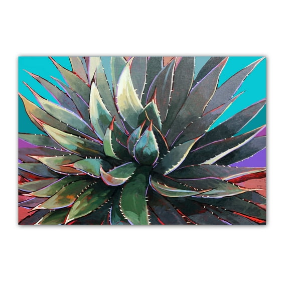 Agave Cactus Postcards - 4 x 6 Western Desert Postcards - 40 Desert Cactus Postc