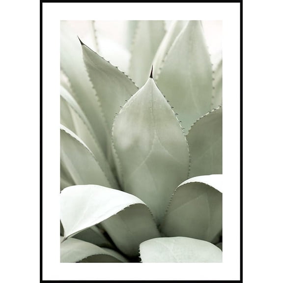 Agave Plant Poster Wall Art, Modern Wall Decor For Living Room Bedroom, 8x12 UNFRAMED