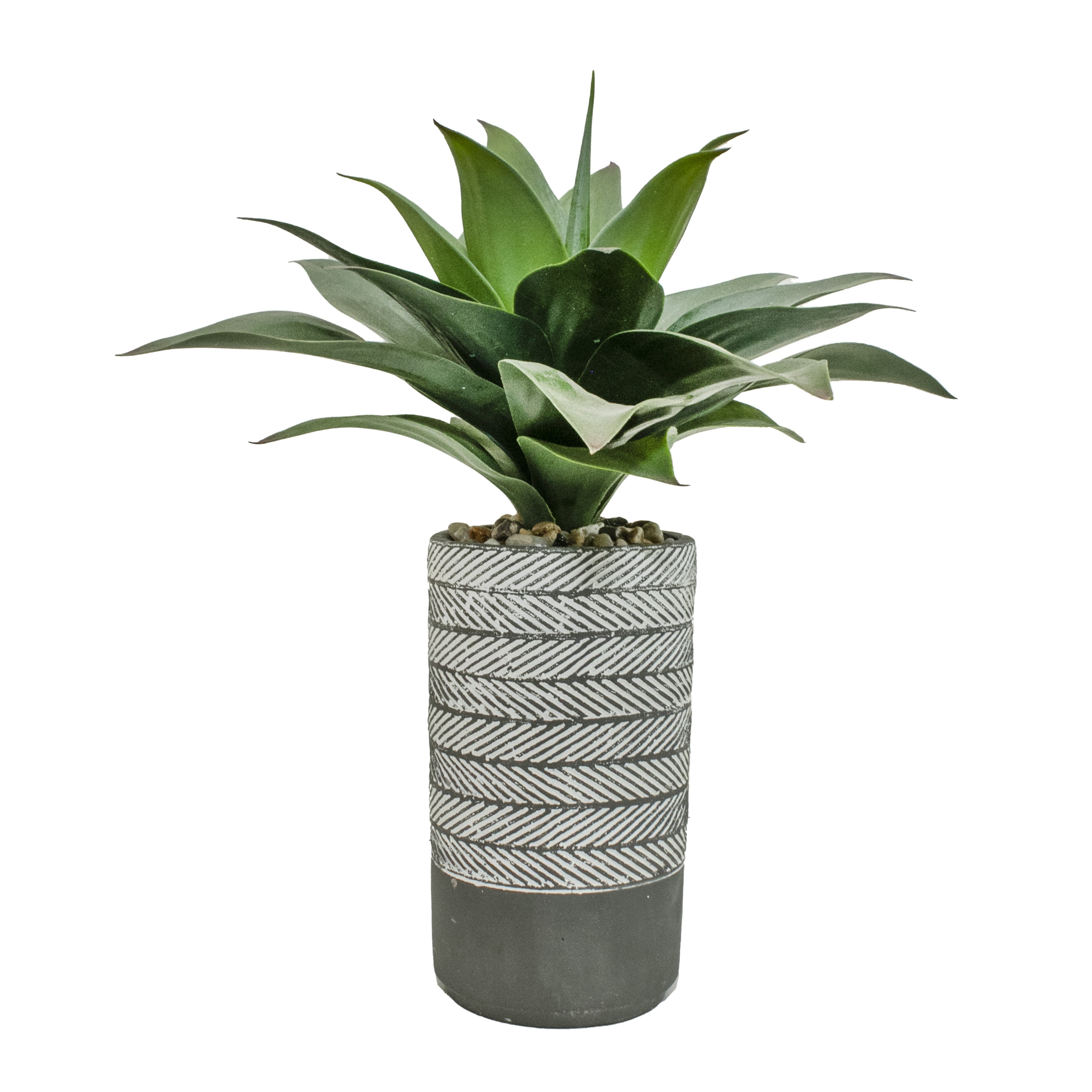 Agave in a ribbed grey cement pot 20x19"