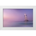 thumbnail image 1 of Agazzi, Andreas 24x16 White Modern Wood Framed Museum Art Print Titled - The Iconic Seven, 1 of 4