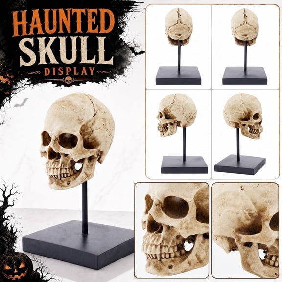 Aged Resin Human Skull Model, Skeleton Head Display Ornament with Metal Stand and Matte Base, for Halloween Decor Gothic Space Art Reference Desktop Decoration