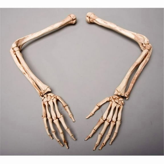 Aged Skeleton Arms  Left and Right
