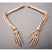Aged Skeleton Arms Left and Right