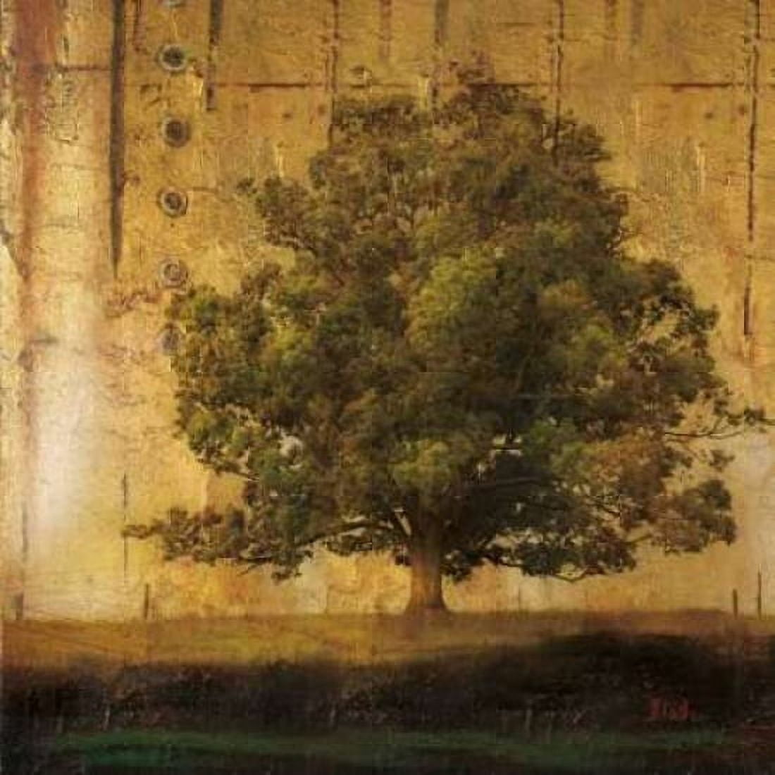 Aged Tree I Canvas Art - Patricia Pinto (24 x 24)