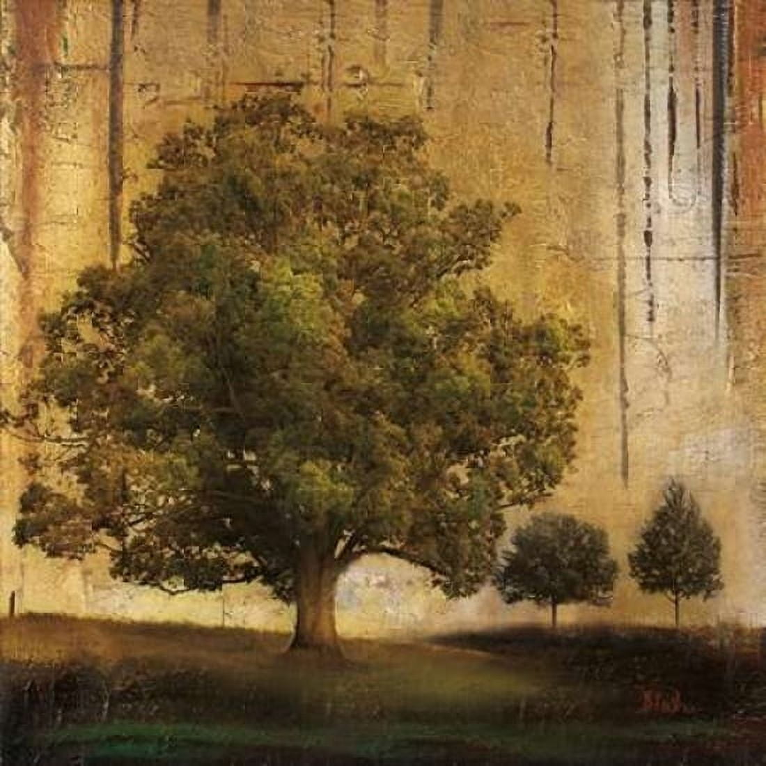 Aged Tree II Canvas Art - Patricia Pinto (24 x 24)