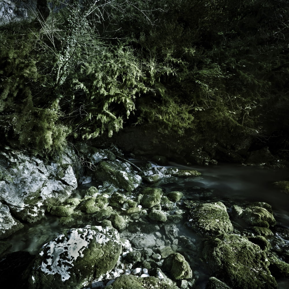 Aged boulders covered with moss in a forest Ritsa Nature Reserve Canvas Art - Evgeny KuklevStocktrek Images (29 x 29)