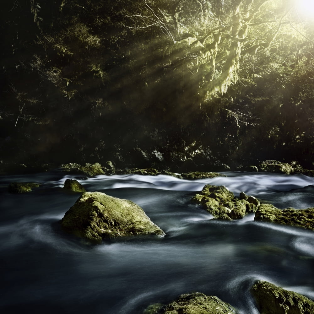Aged boulders covered with moss in a misty forest Ritsa Nature Reserve Canvas Art - Evgeny KuklevStocktrek Images (29 x 29)