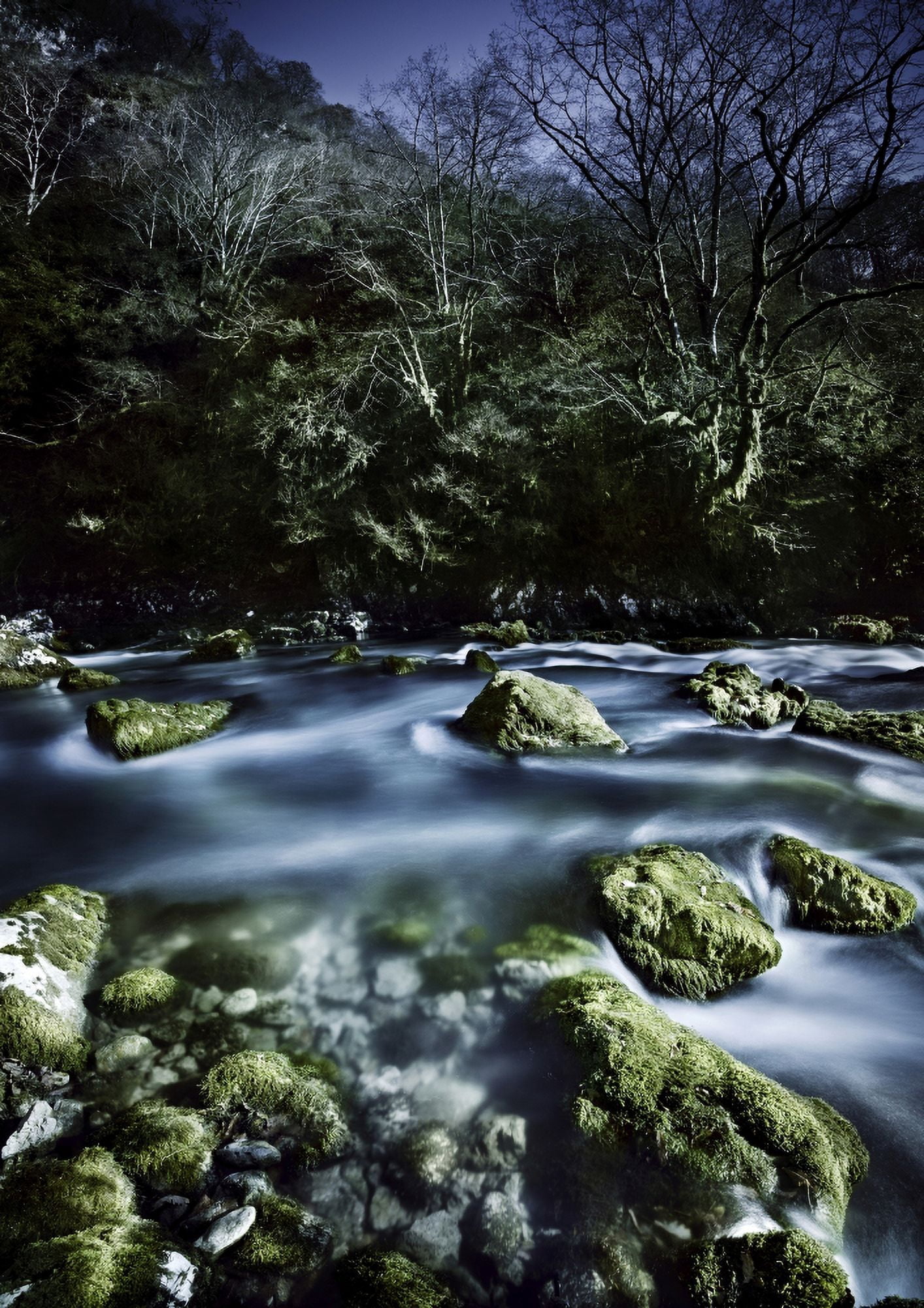 Aged boulders covered with moss in a river Ritsa Nature Reserve Canvas Art - Evgeny KuklevStocktrek Images (24 x 34)
