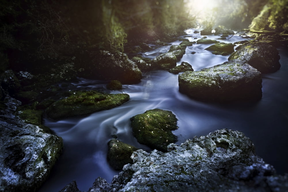 Aged boulders covered with moss lying in a forest river Ritsa Nature Reserve Canvas Art - Evgeny KuklevStocktrek Images (18 x 12)