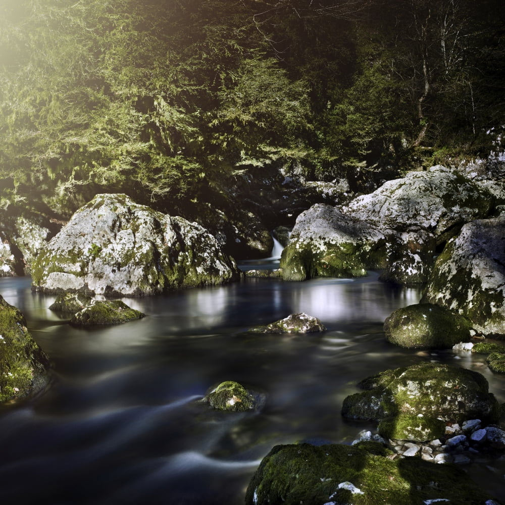 Aged boulders covered with moss lying in a forest river Ritsa Nature Reserve Canvas Art - Evgeny KuklevStocktrek Images (29 x 29)