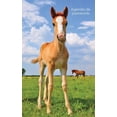 thumbnail image 1 of Agendas Com Cavalos Agenda de passwords: Agenda para endereços electrónicos e passwords - Capa potro bonito, Book 2, (Paperback), 1 of 1