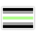 thumbnail image 1 of Agender Flag Pride - 12" Vinyl Sticker Waterproof Decal, 1 of 1