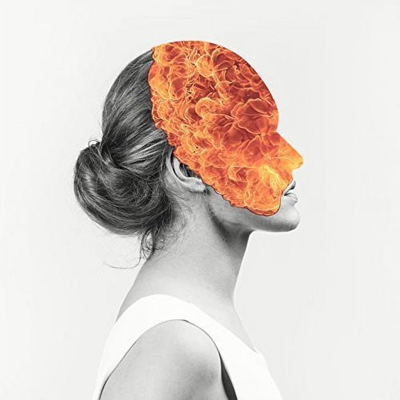 Agent Fresco - Destrier - Music & Performance - CD