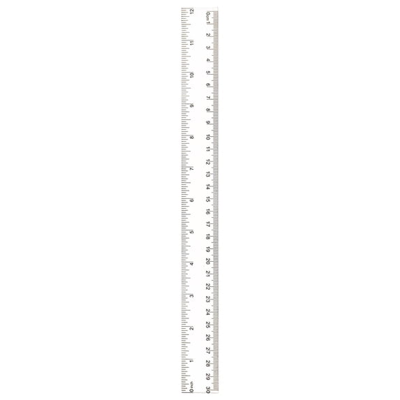 Ageoie 12 Inch Color Clear Ruler, Dual Scale Plastic Transparent Straight Ruler, Math Geometry Measuring Tools with Inch And Centimeter, Office Supplies, Back to Classroom Must Haves