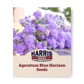 Harris Seeds Ageratum Blue Horizon F1, Tall Blue Flower Variety for Cut Flowers and Garden Beds, 50 Count
