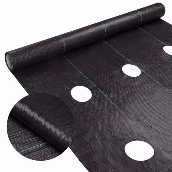 Agfabric 5 ft. x 50 ft. Easy-Plant Weed Block Mulch Weed Barrier Fabric with Planting Hole 4 in. Dia.