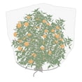 thumbnail image 1 of Agfabric Bird Netting Insect Barrier Bag Garden Plant Cover 120"H x 120"W In-shape Bag with Rope, 1 of 3