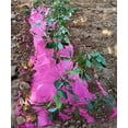 thumbnail image 1 of Agfabric Pink Mulch - Garden - Plastic Film - 4x250ft size 1.2Mil, 1 of 2