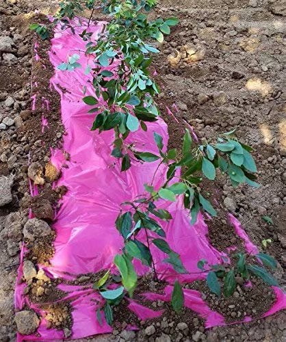 Agfabric Pink Mulch - Garden - Plastic Film - 5x250ft size 1.2Mil